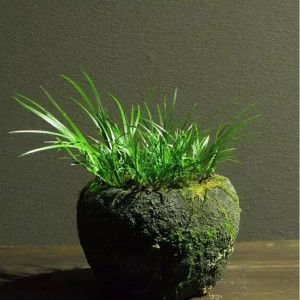 Wholesale cheap price small rock stone pot for decor