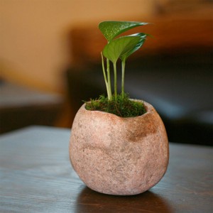 Small indoor rock stone flower pot