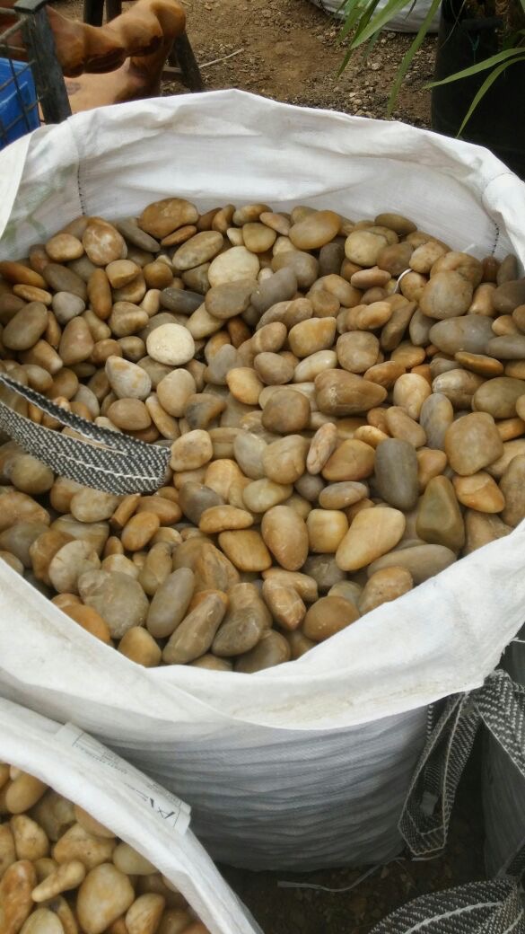 Factory source Flower Pot -
Yellow Pebble Stone, 1-2cm / 2-4cm / 3-5cm / 5-8cm – Magic Stone detail pictures
