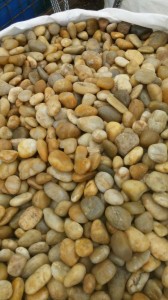 High Polish Yellow Pebble Stone, 1-2cm / 2-4cm / 3-5cm / 5-8cm