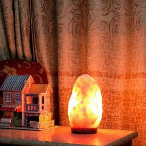 Lampe de sel de l'Himalaya décor à la maison