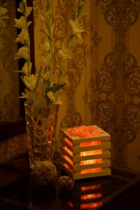 مصباح مزهرية شبكي من سلك ملح الهيمالايا الطبيعي مع سلك ، لمبة إضاءة
