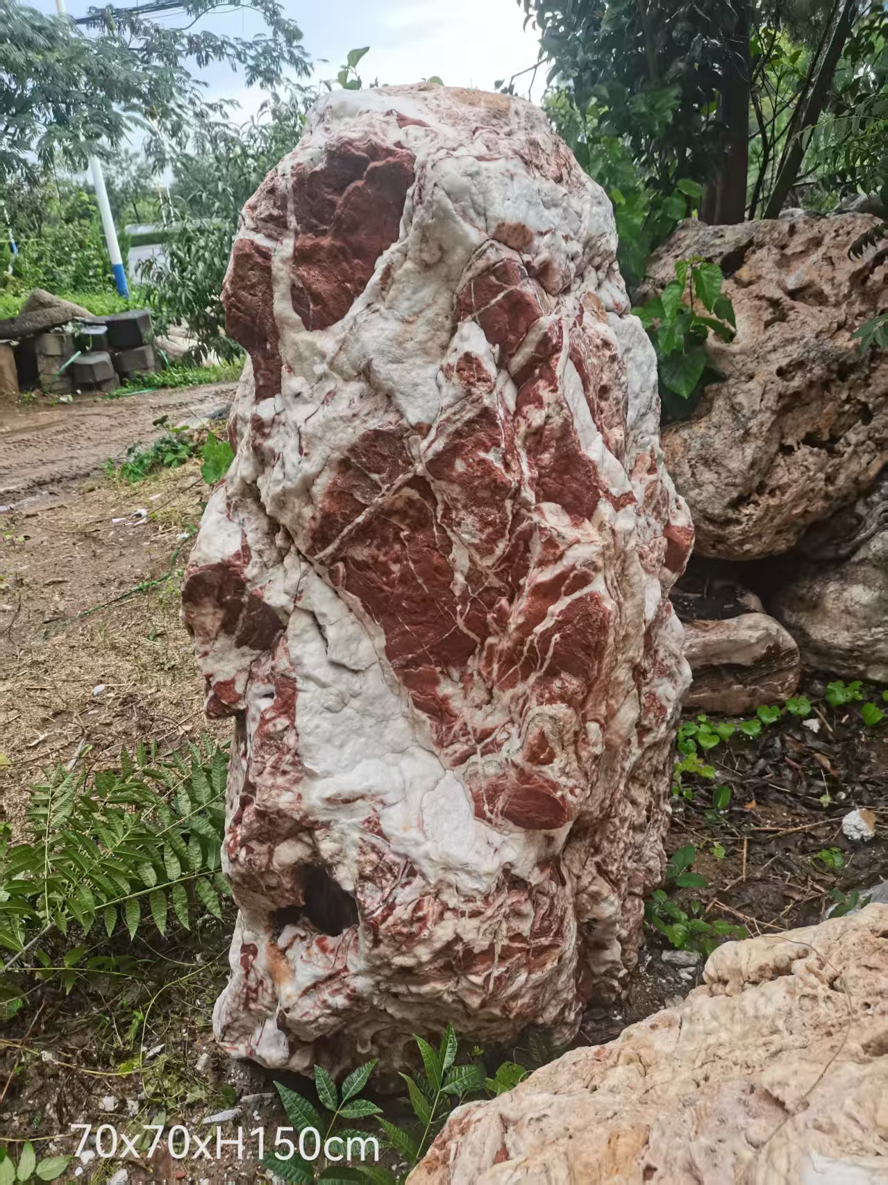Colorful Banded Pork Belly Stone: Unique Natural Ornamental Rock for Garden & Interior Decoration