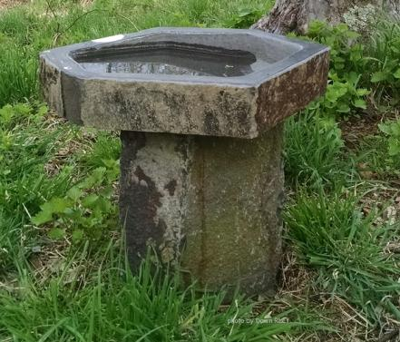 What Kind of Bird Bath is Best