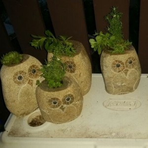 Custom-Size Modern Style Small Owls Flower Pot Natural Stone Decoration for Park Use