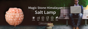 https://www.magicstonegarden.com/himalayan-natural-salt-lamp-vitamin-of-the-air-white-salt-lamp-natural-wood-base-electric-wire-bulb.html