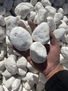 https://www.magicstonegarden.com/products/paving-wall-cladding/pebbles-gravel/