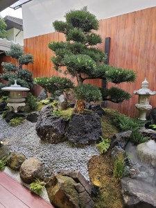 Application of Lao Ban Basalt - Magic Stone (3)