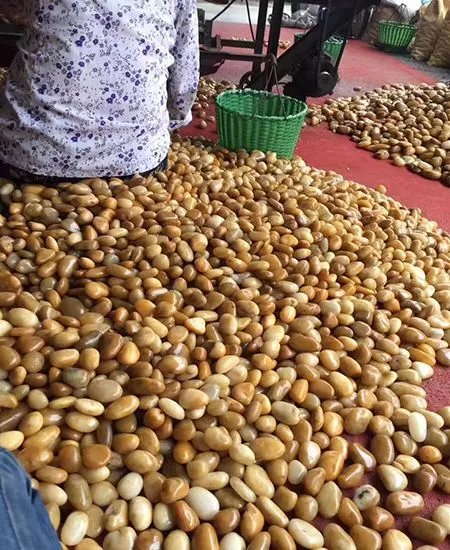https://www.magicstonegarden.com/products/paving-wall-cladding/pebbles-gravel/