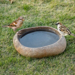 il_fullxfull.6575424006_slwd