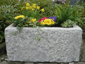 blumen_bottom03