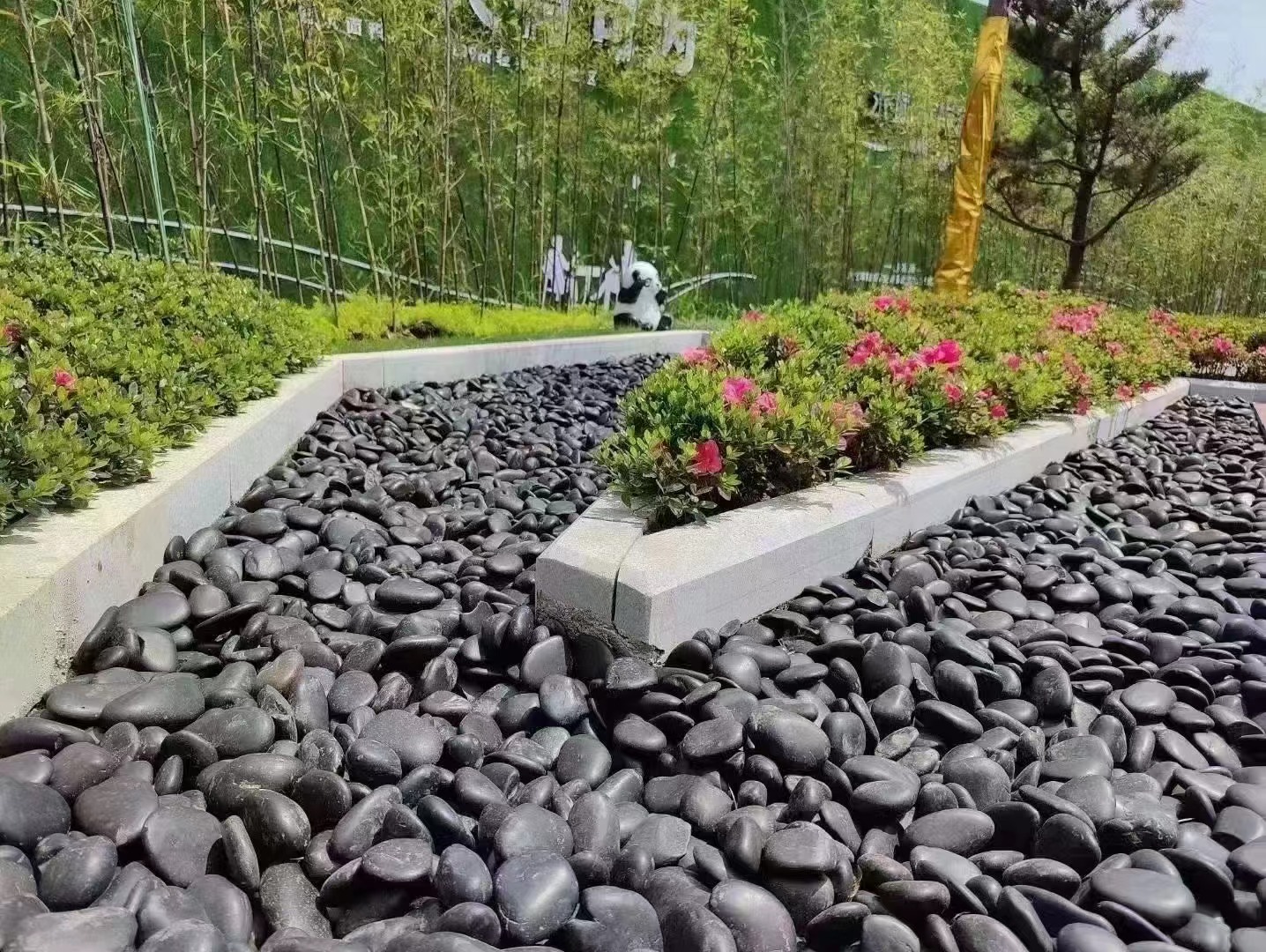 26tons pebble stones will be shipped to Israel