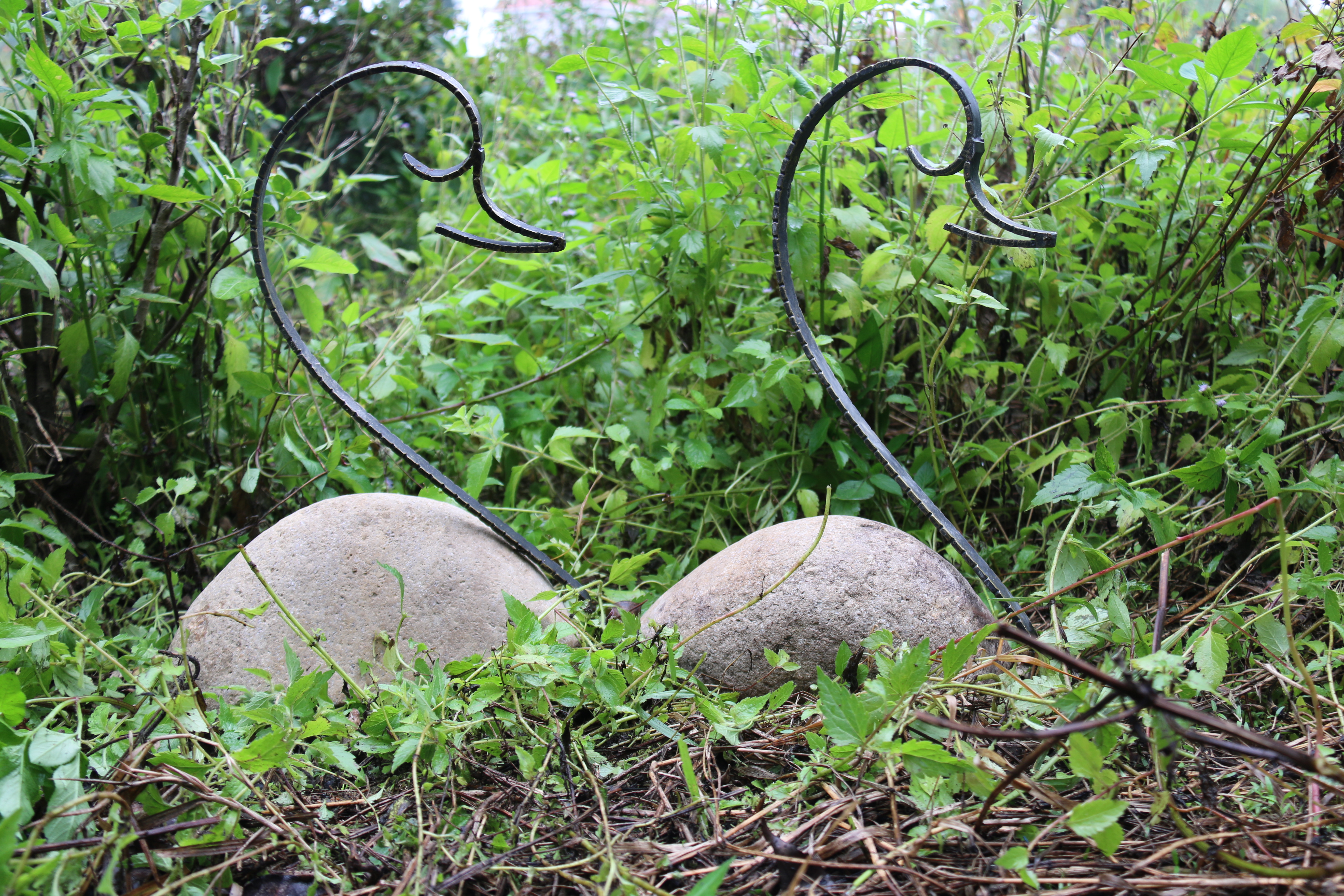 Did you place the stone carved animal in your garden?