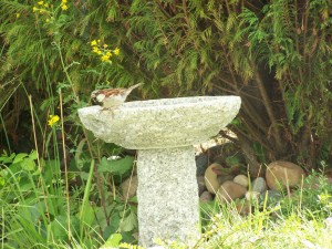 Round granite stone birdbath on stand