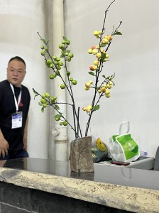 The 24th Xiamen Stone Fair - Magic Stone (11）