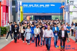 The 24th Xiamen Stone Fair - Magic Stone (4)