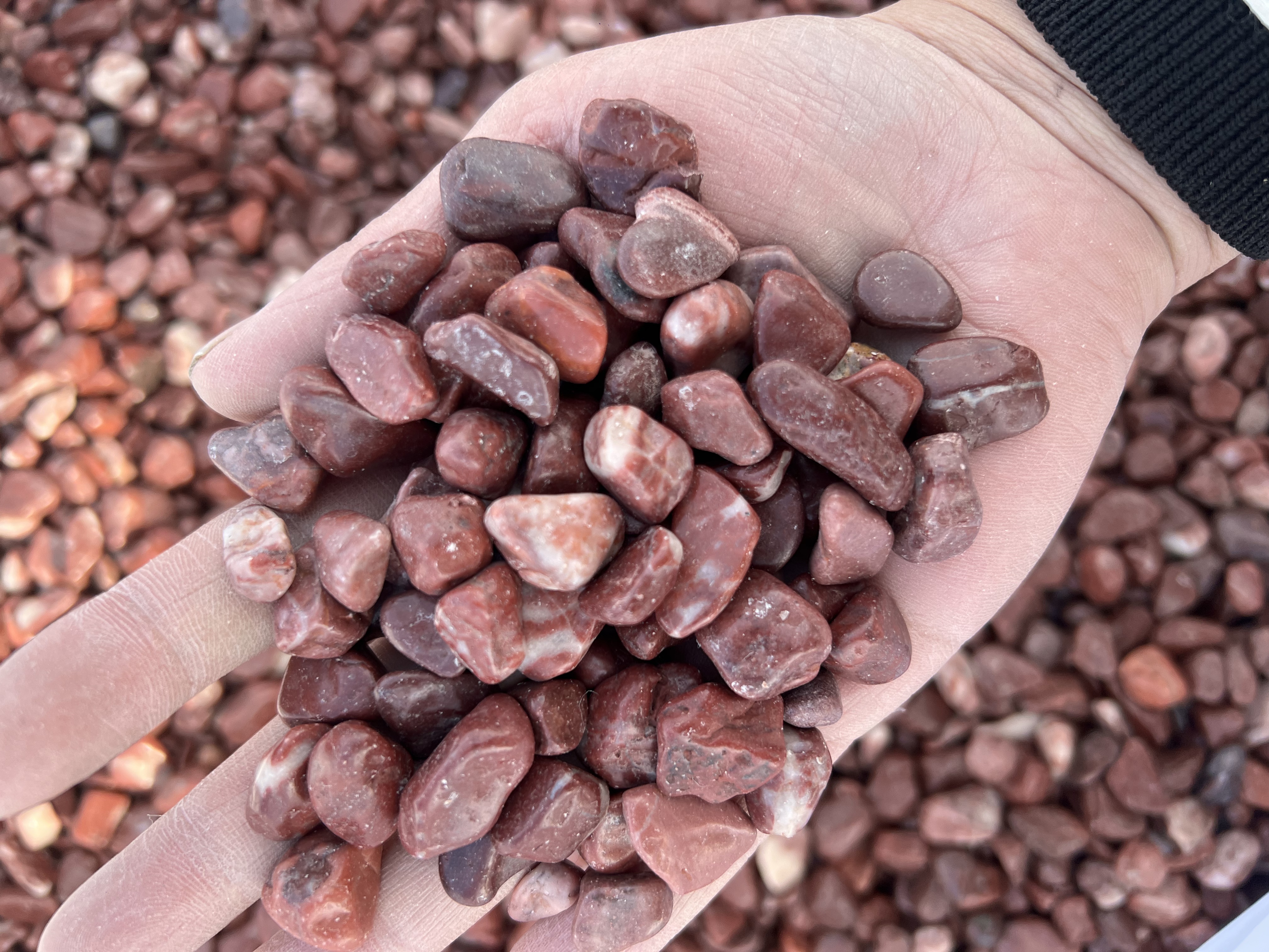 52tons Pebble Stones will be shipped to Israel