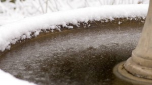 6.1-frozen-fountain-1200x675