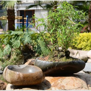 Boulder bowl planter for garden