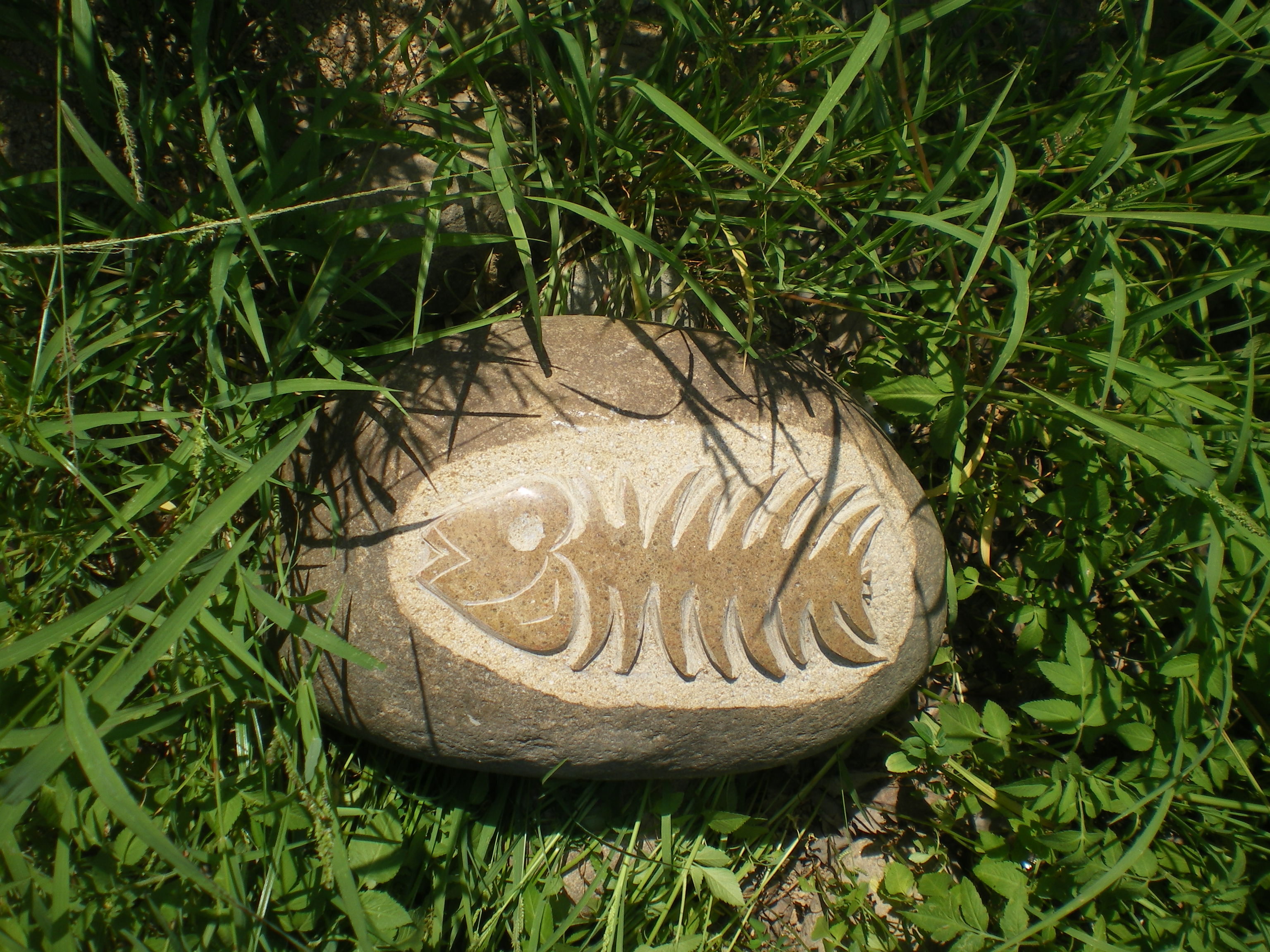 boulder fish bone