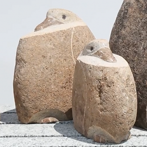 Big boulder rock duck