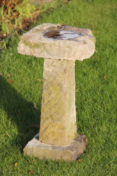 Where Should Bird Bath Be Placed? Expert Tips for Happy Birds