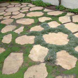 Yellow Slate Stepping Stones for Garden Path Paving