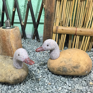 Boulder rock stone duck