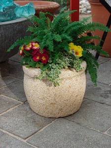 blumen_bottom02