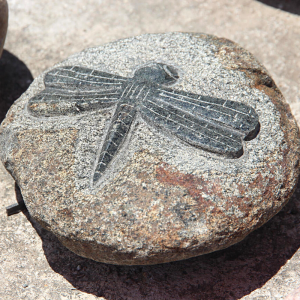 Carved stone dragonfly craft