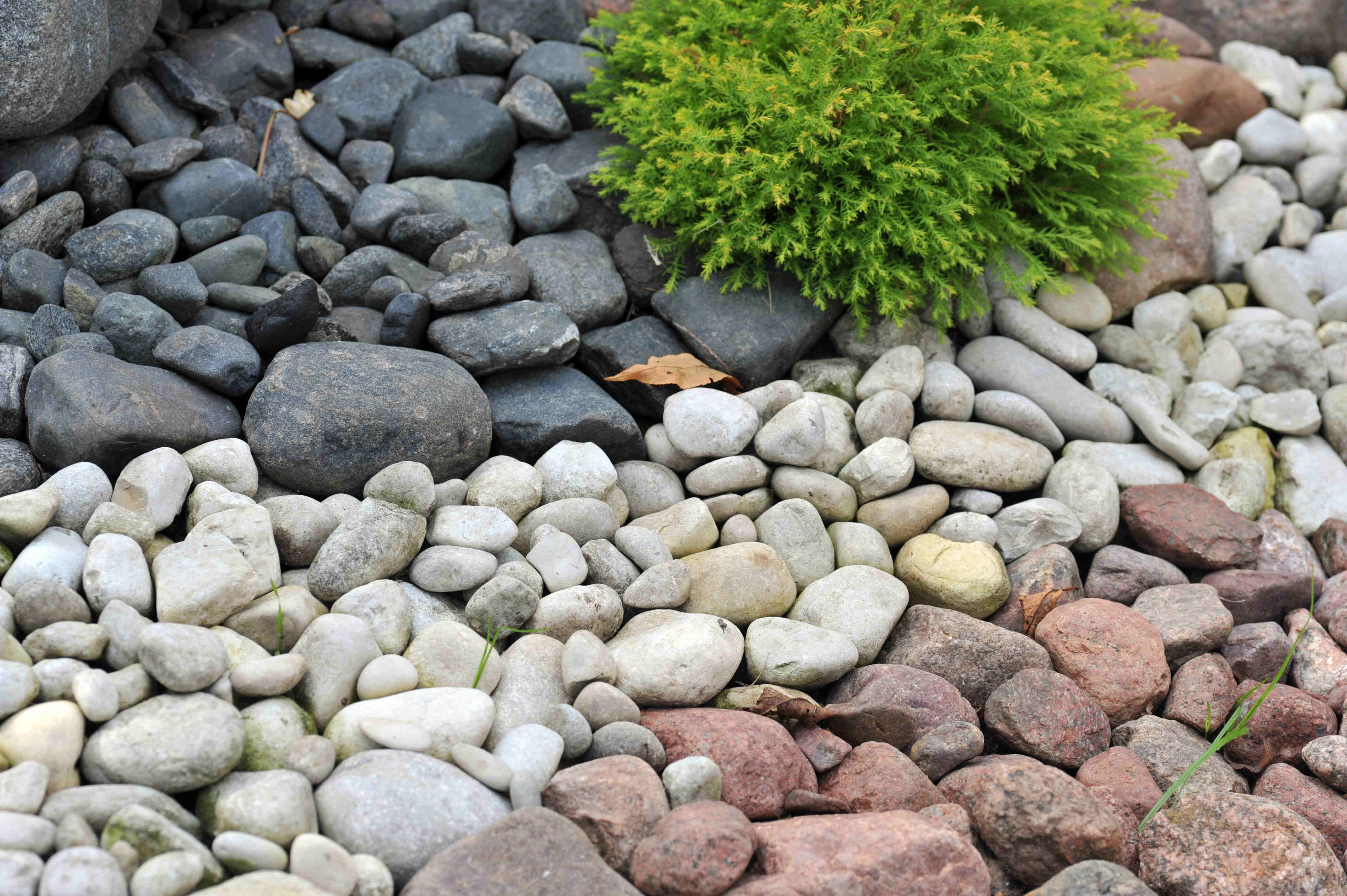 natural-stone-pebbles for garden decor