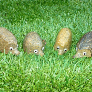 Polished different size rock hedgehog