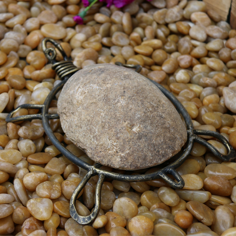 rock iron turtle (2)