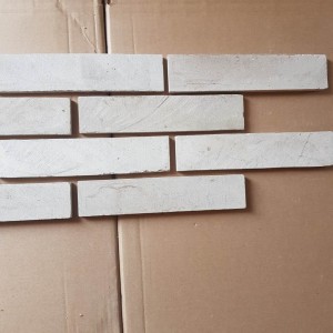 White Slice Clay Bricks